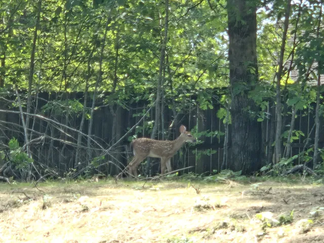 $445,900 | 7 Bush Court, Waverly, TN 37185