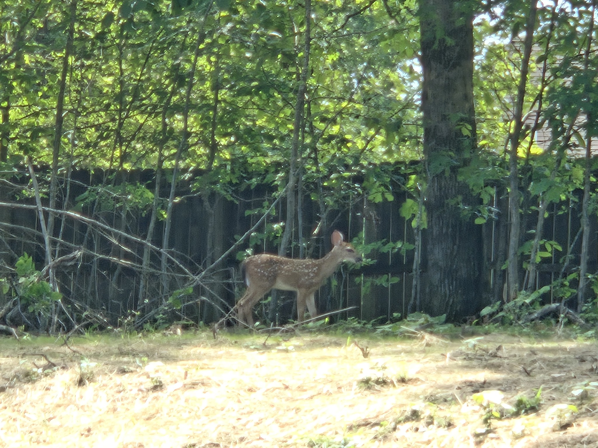 7 Bush Court Waverly, TN 37185 - Photo 47 of 48
