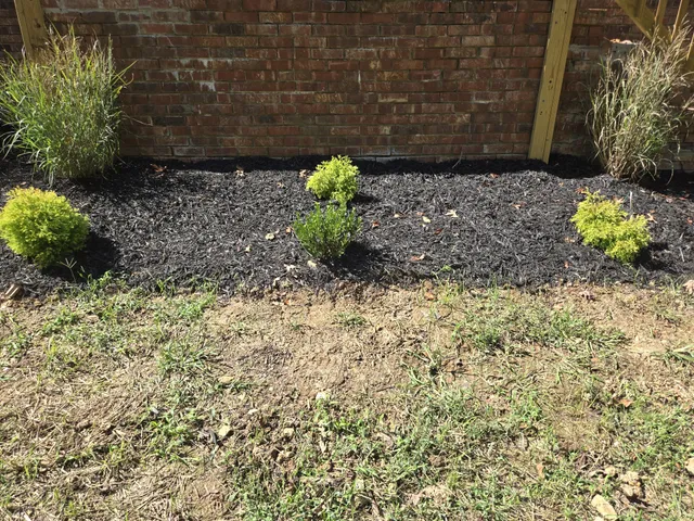 a large kitchen with a large counter top appliances and cabinets