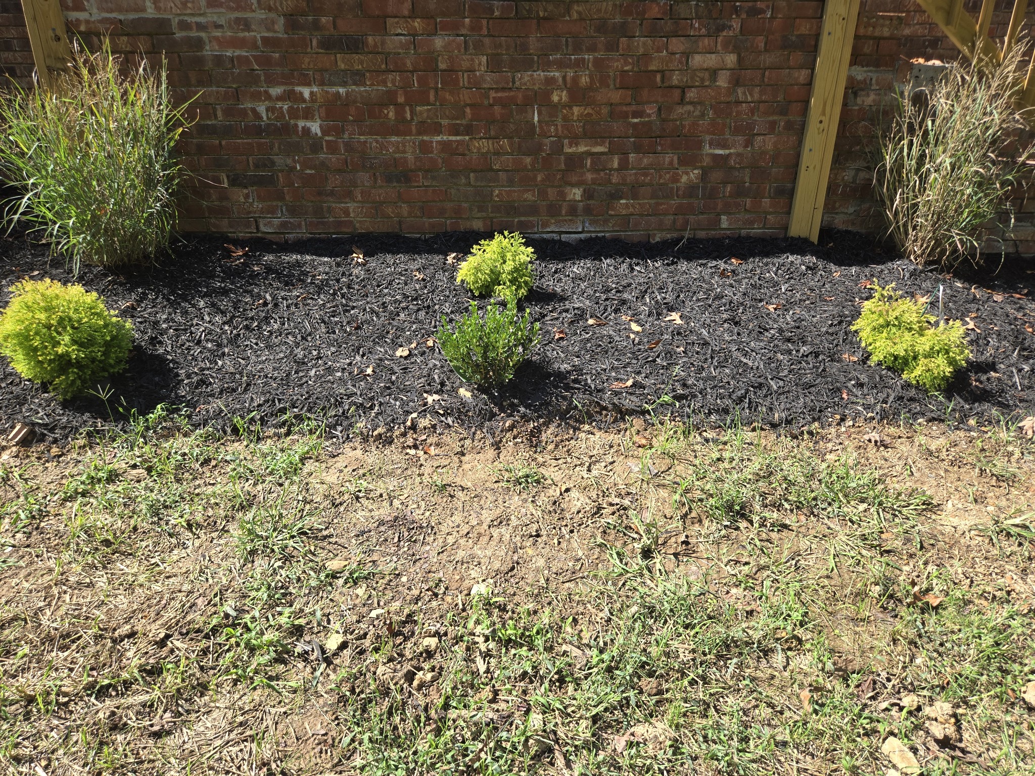 7 Bush Court Waverly, TN 37185 - Photo 10 of 48 a view of a yard with plants and a bench
