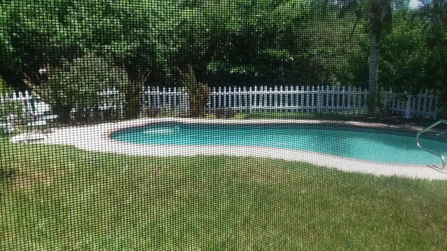 a view of a swimming pool with a garden