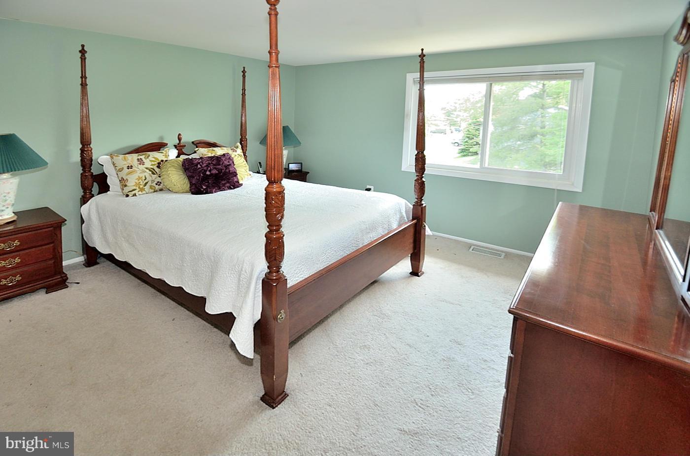 226 North Cottage Road Sterling, VA 20164 - Photo 13 of 20 Bedroom (Master)