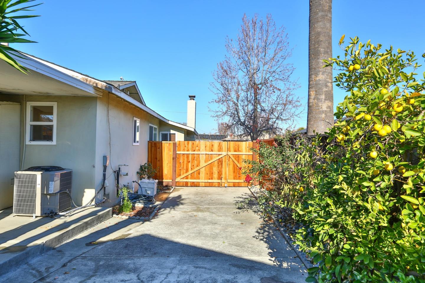 1762 Hallmark Lane San Jose, CA 95124 - Photo 28 of 39 a view of a back yard of the house
