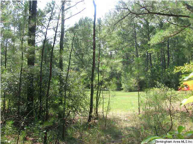 123 Caldwell Mill Road Bessemer, AL 35023 - Photo 4 of 6