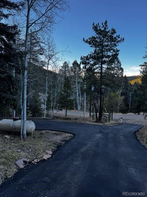 19424 Silver Ranch Road Conifer, CO 80433 - Photo 39 of 43 a view of a backyard with green space