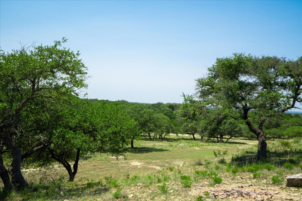7890 Highway 290 Dripping Springs, TX 78620 - Photo 24 of 33