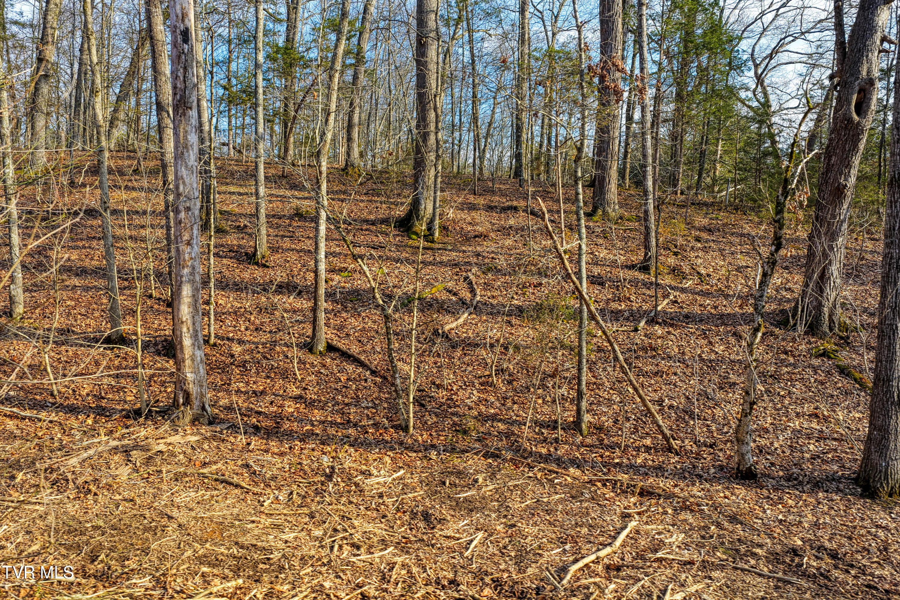 3870 Dulaney Road Mosheim, TN 37818 - Photo 16 of 41 3870 Dulaney. Gvl MLSa (16 of 22)