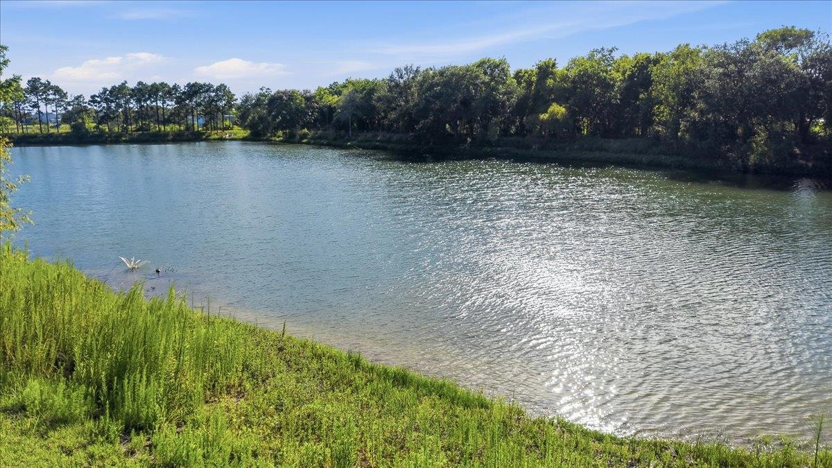 Tbd Hodgson Road Nederland, TX 77627 - Photo 4 of 13 Gallery Image 4
