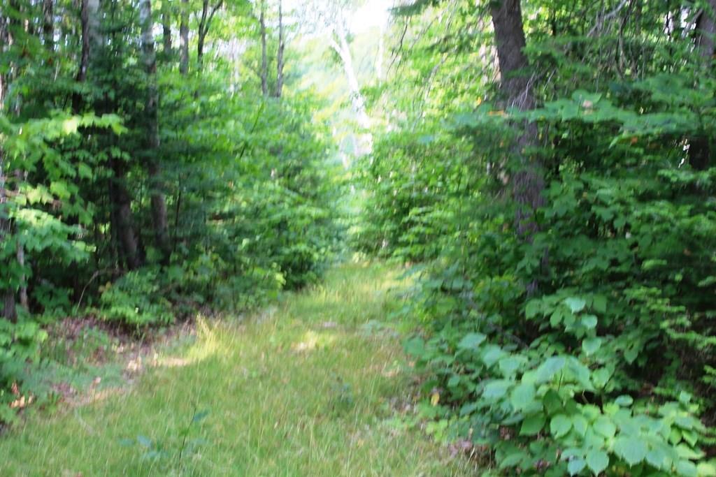 0 Bennett Pond Road Parkman, ME 04443 - Photo 6 of 12 Photo