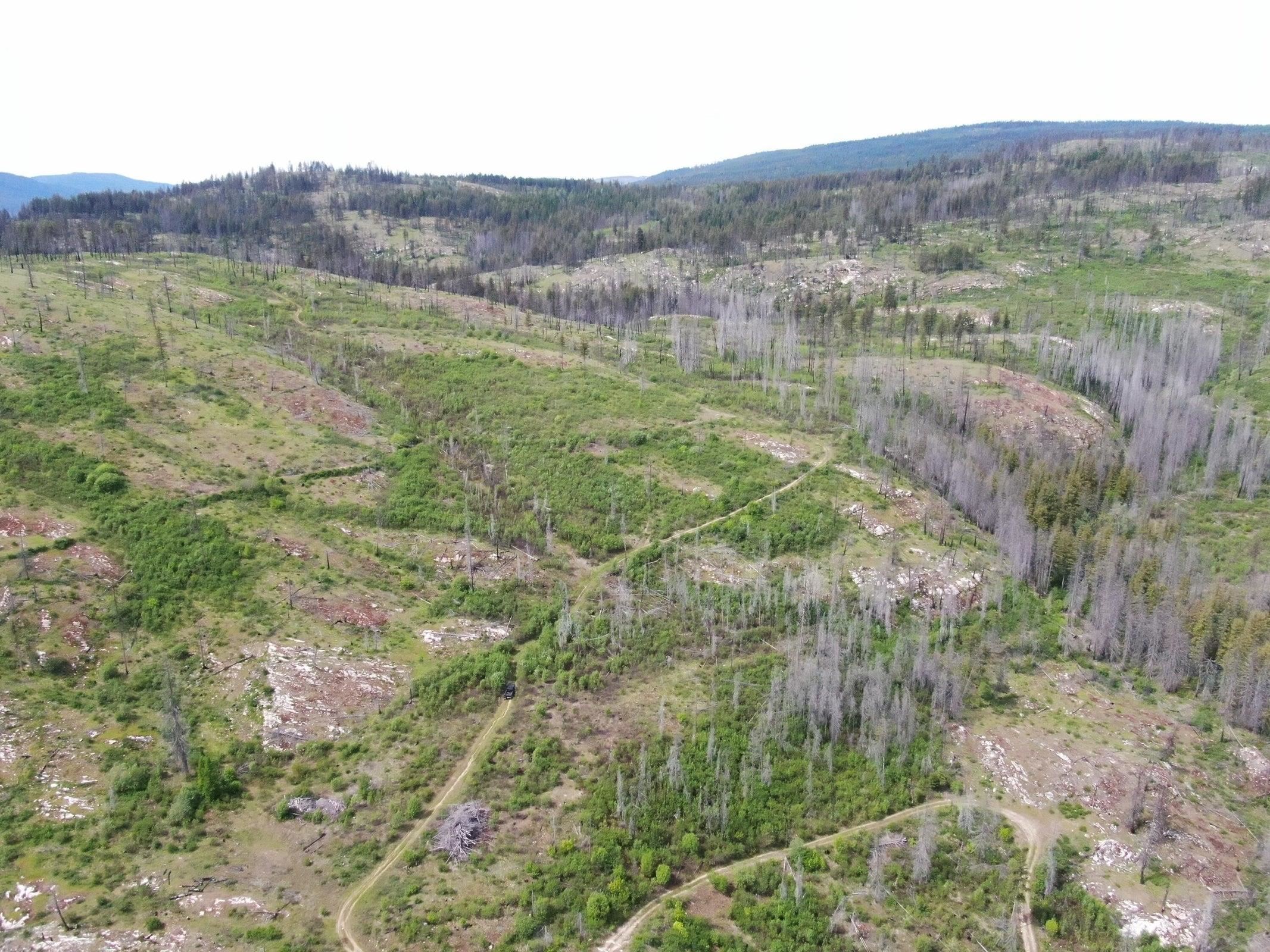 Xx Matsen Creek Road Kettle Falls, WA 99141 - Photo 11 of 17