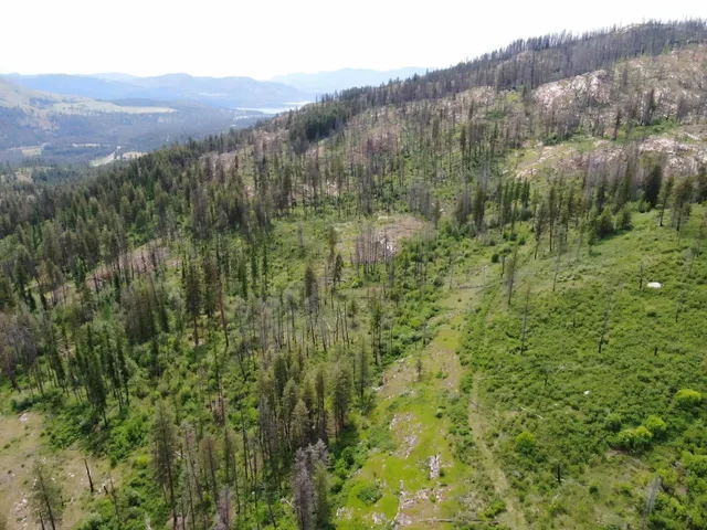 $299,000 | Xx Matsen Creek Road, Kettle Falls, WA 99141