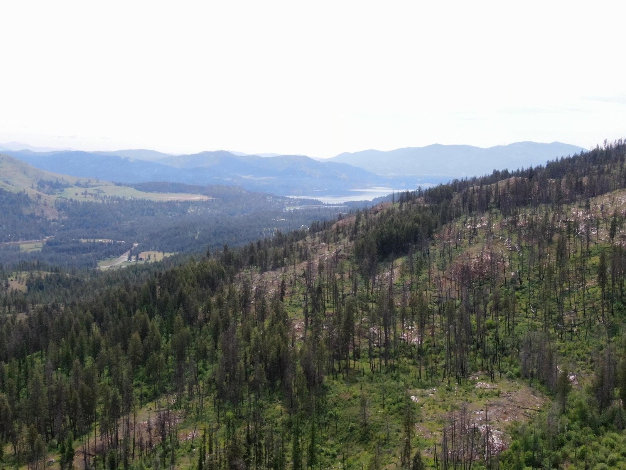 Xx Matsen Creek Road Kettle Falls, WA 99141 - Photo 13 of 17