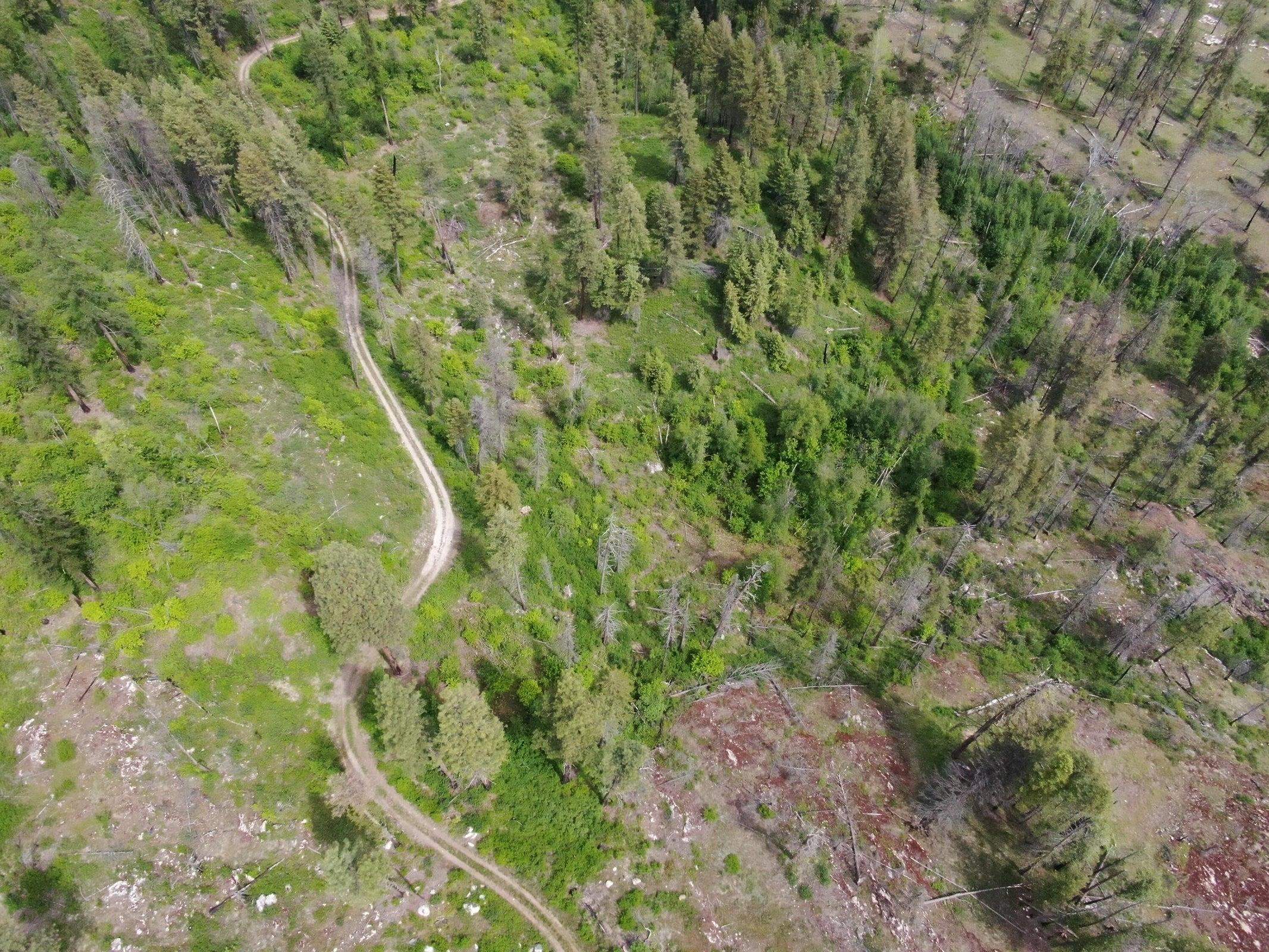 Xx Matsen Creek Road Kettle Falls, WA 99141 - Photo 14 of 17