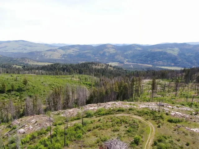 $299,000 | Xx Matsen Creek Road, Kettle Falls, WA 99141