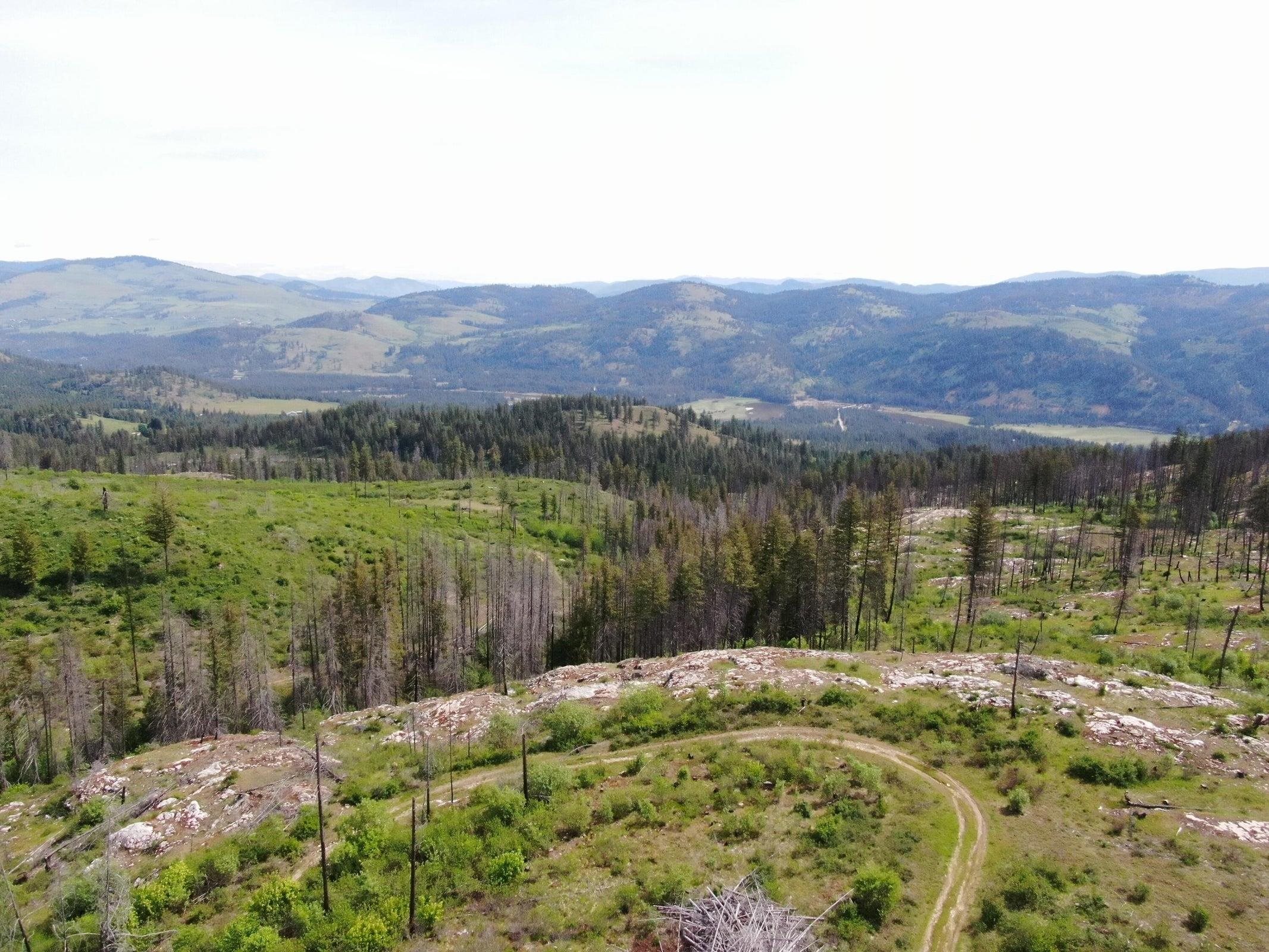 Xx Matsen Creek Road Kettle Falls, WA 99141 - Photo 15 of 17