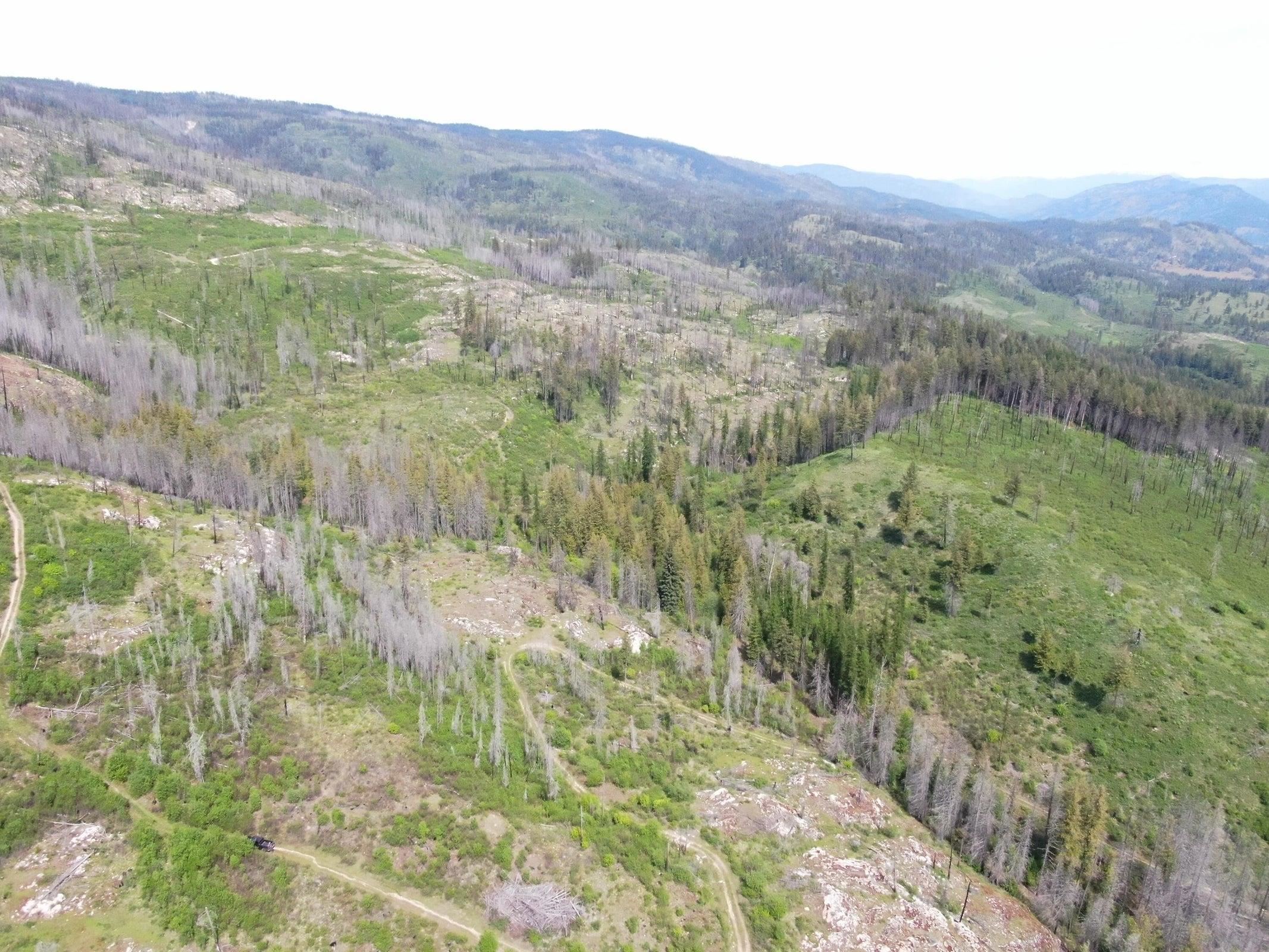 Xx Matsen Creek Road Kettle Falls, WA 99141 - Photo 16 of 17