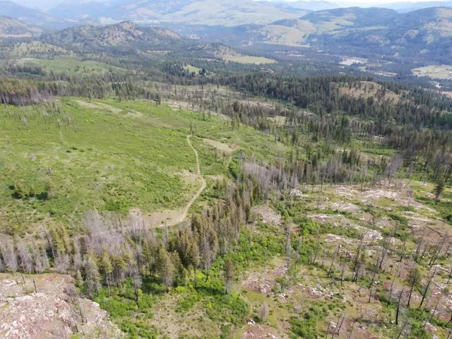 $299,000 | Xx Matsen Creek Road, Kettle Falls, WA 99141