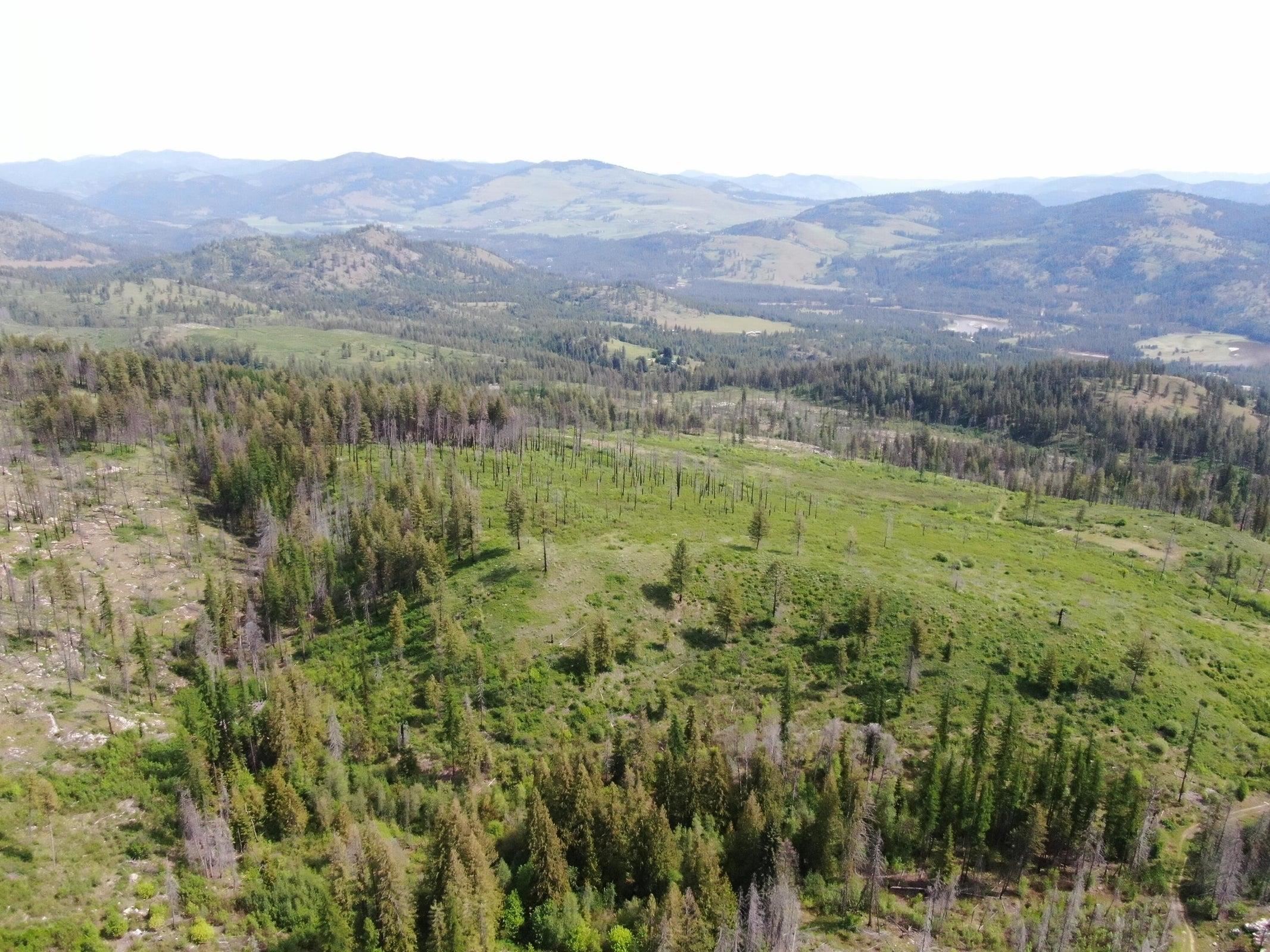 Xx Matsen Creek Road Kettle Falls, WA 99141 - Photo 5 of 17