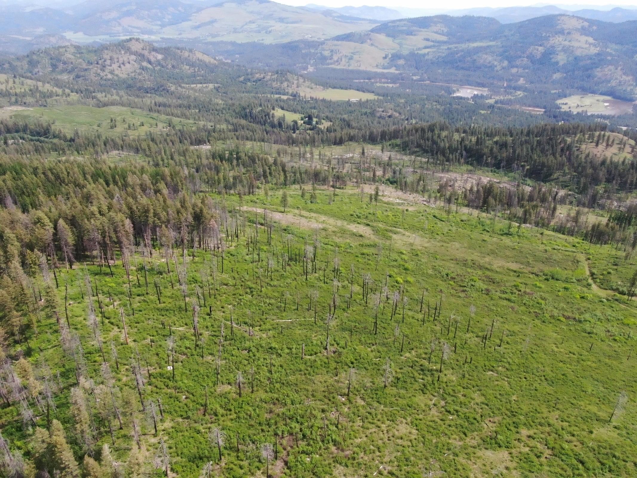 Xx Matsen Creek Road Kettle Falls, WA 99141 - Photo 6 of 17