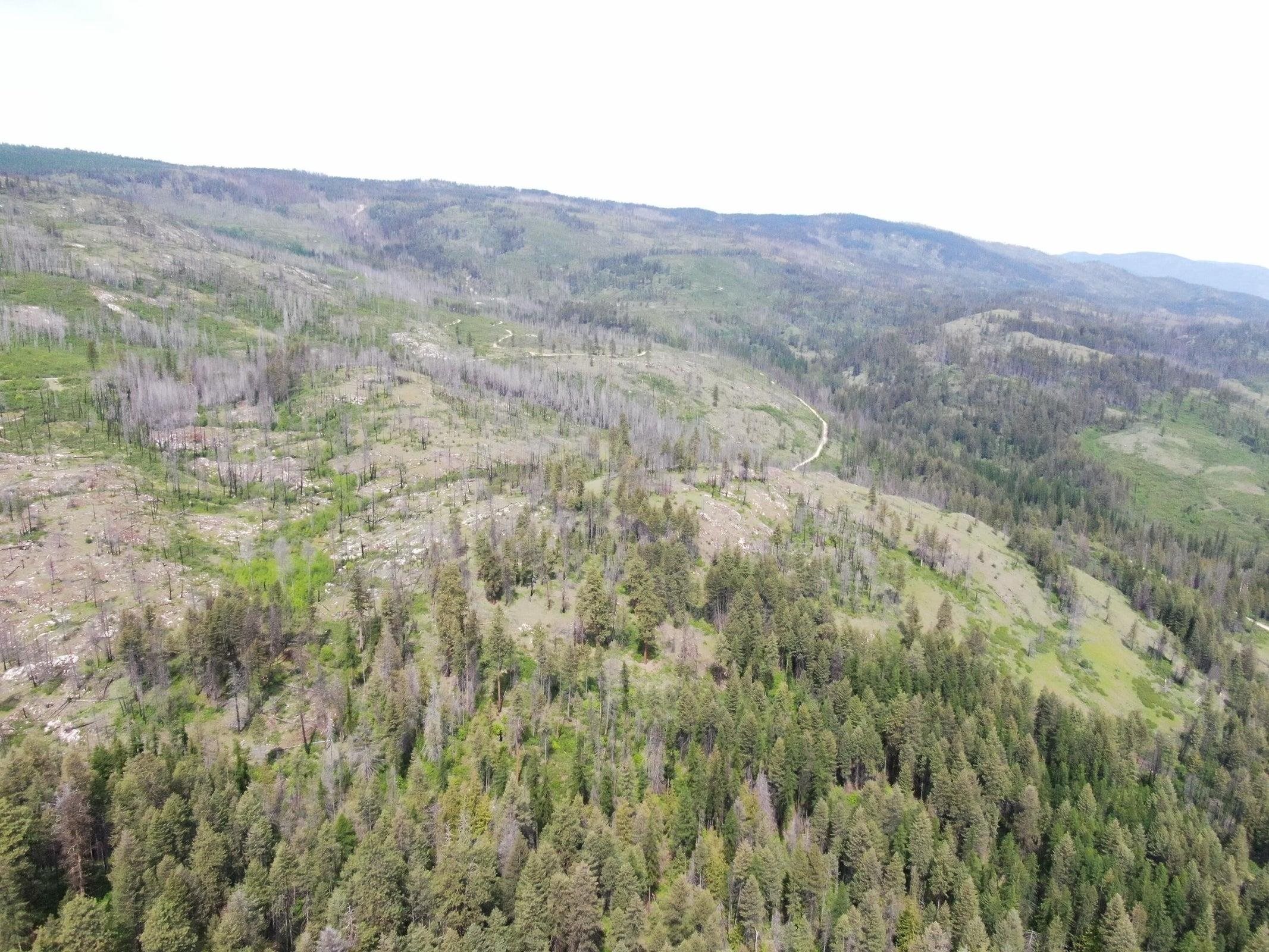 Xx Matsen Creek Road Kettle Falls, WA 99141 - Photo 7 of 17