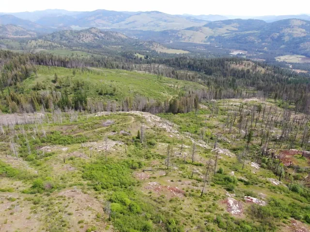 $299,000 | Xx Matsen Creek Road, Kettle Falls, WA 99141