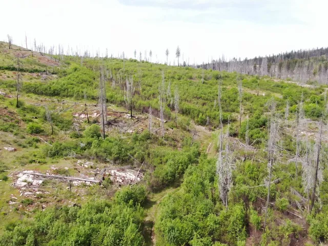 $299,000 | Xx Matsen Creek Road, Kettle Falls, WA 99141