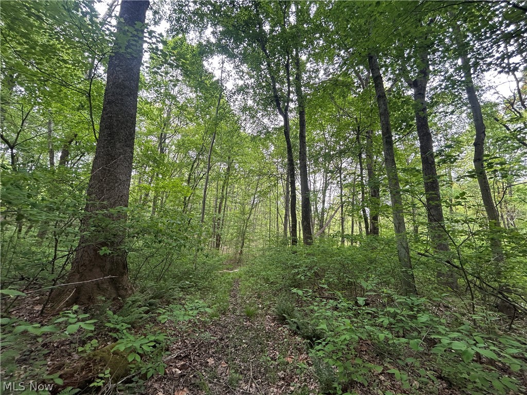 Wesley Chapel Mount Mount Perry, OH 43760 - Photo 3 of 15