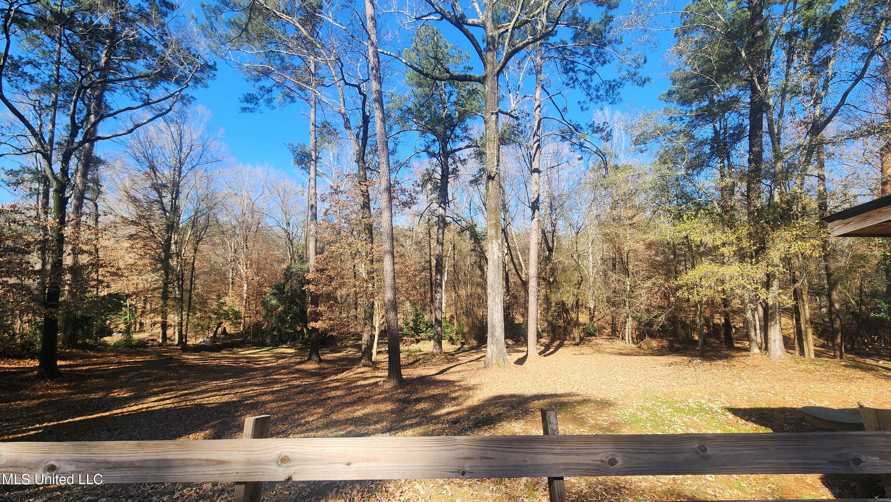 29 Melanie Road Natchez, MS 39120 - Photo 2 of 36 20260128_120057
