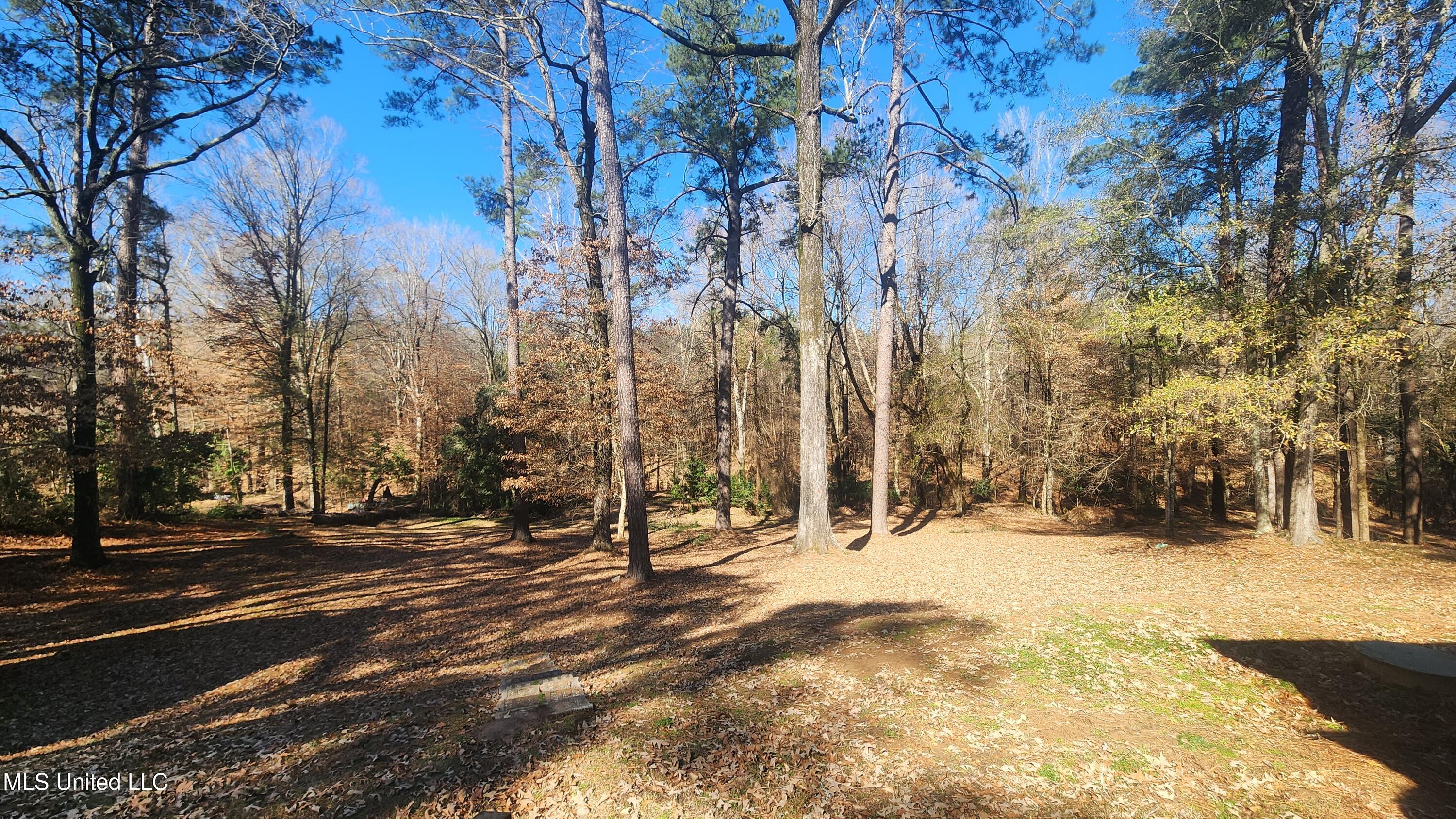 29 Melanie Road Natchez, MS 39120 - Photo 33 of 36 20260128_120045