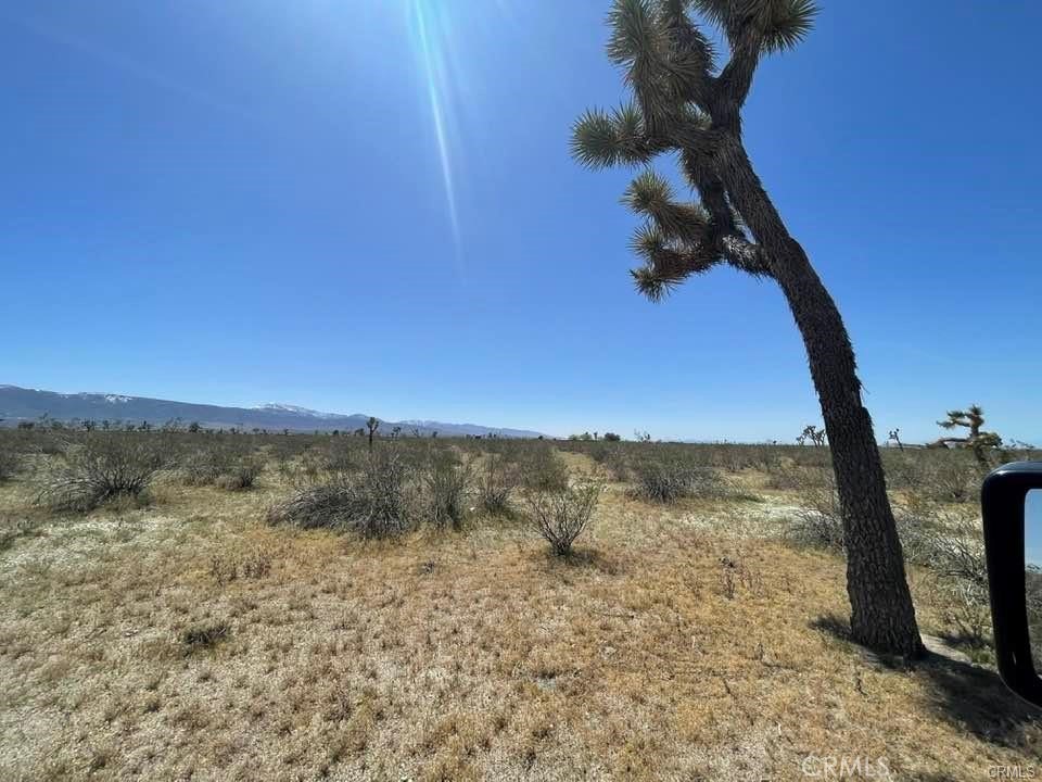 0 Dos Palmas Road Phelan, CA 92371 - Photo 13 of 18