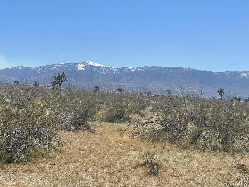 0 Dos Palmas Road Phelan, CA 92371 - Photo 17 of 18