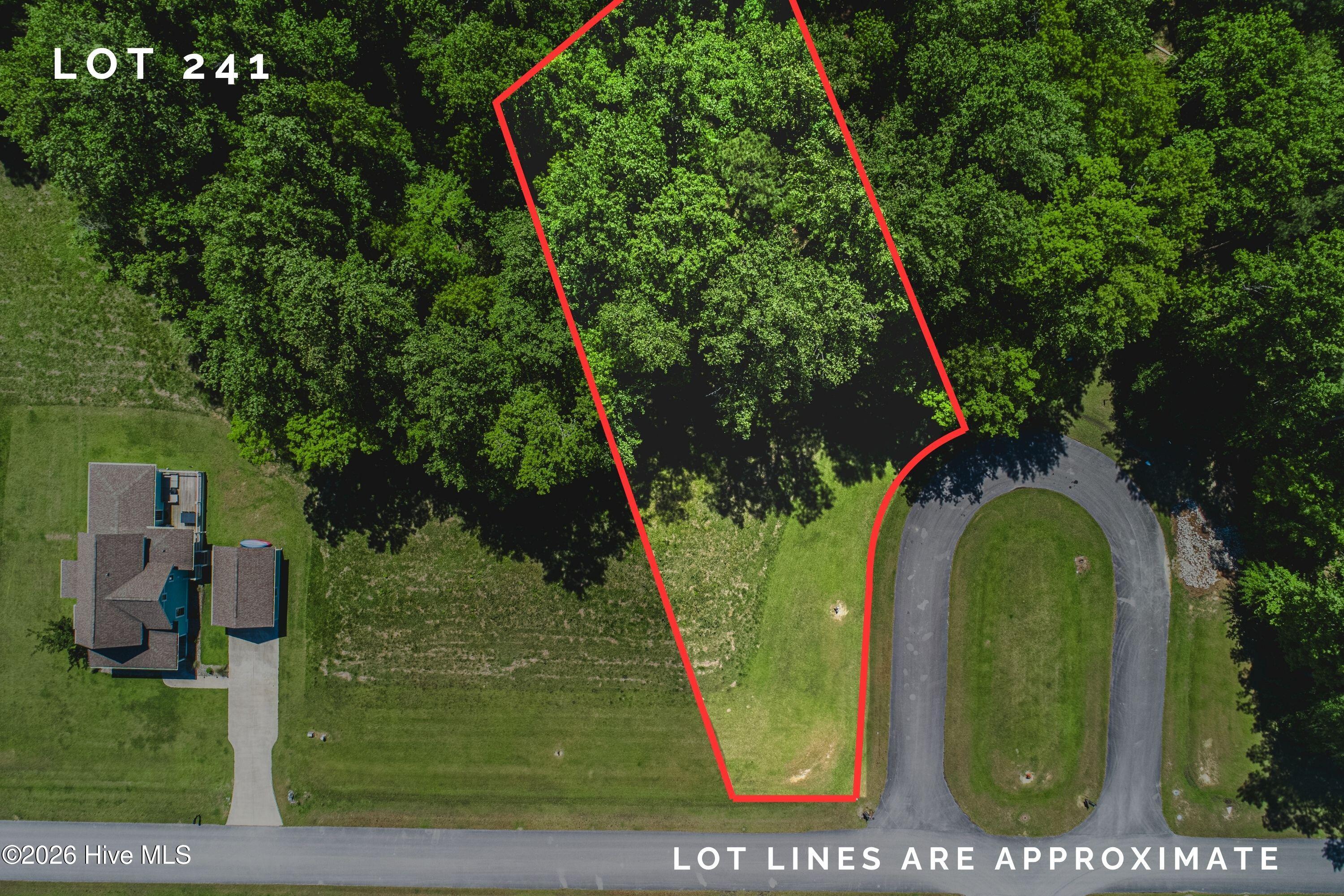 75 Golden Fern Lane Minnesott Beach, NC 28510 - Photo 31 of 31 Lot 241 Red Lines