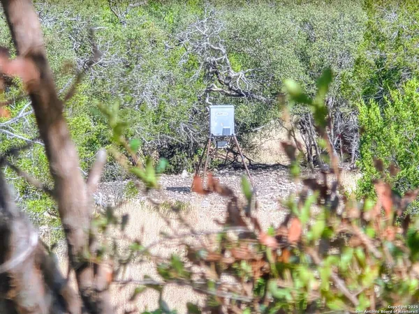a backyard of a house with large trees