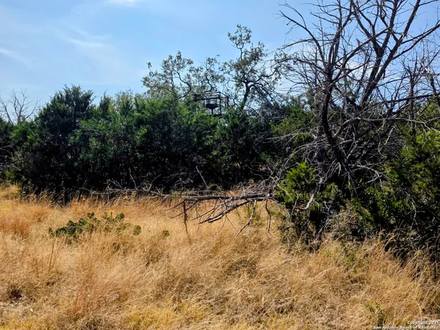 a view of a backyard of the house