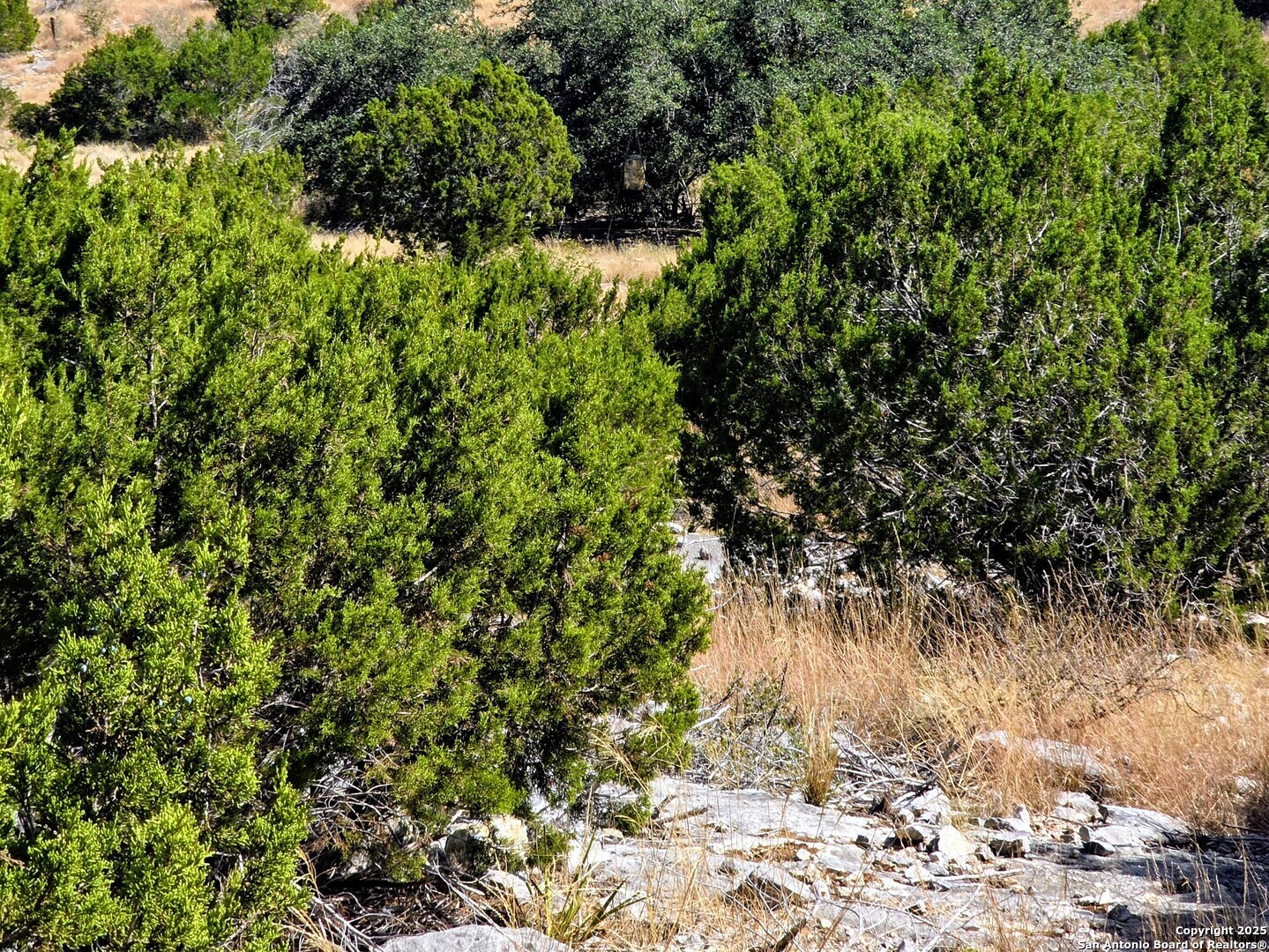 0 Black Waterhole Ranch Rocksprings, TX 78880 - Photo 14 of 20 a backyard of a house with a tree