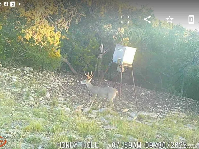 $320,000 | 0 Black Waterhole Ranch, Rocksprings, TX 78880