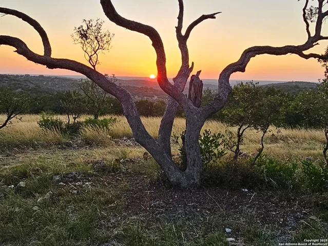 a view of a yard in front of a house
