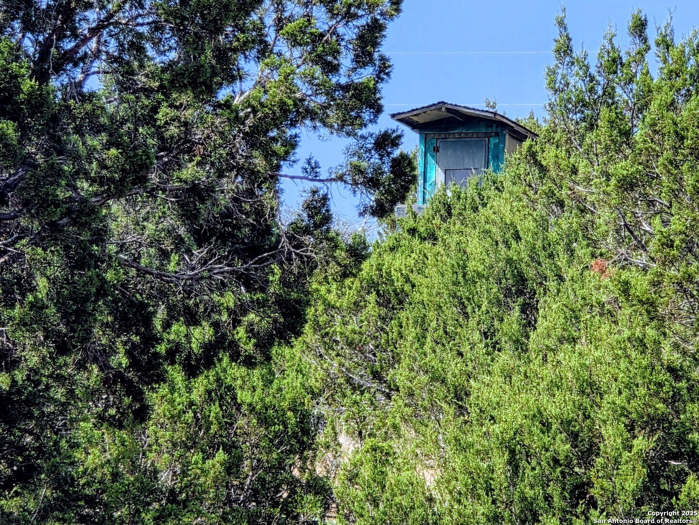 0 Black Waterhole Ranch Rocksprings, TX 78880 - Photo 5 of 20 a view of a garden