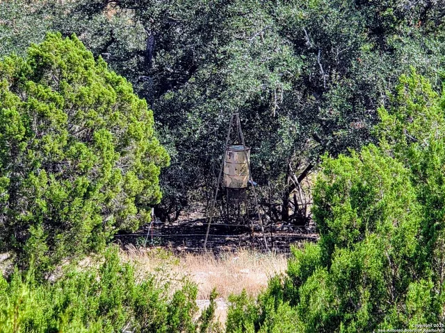a view of a lake with a tree in the background