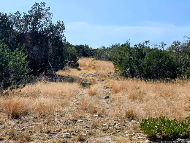 a view of a yard covered in snow