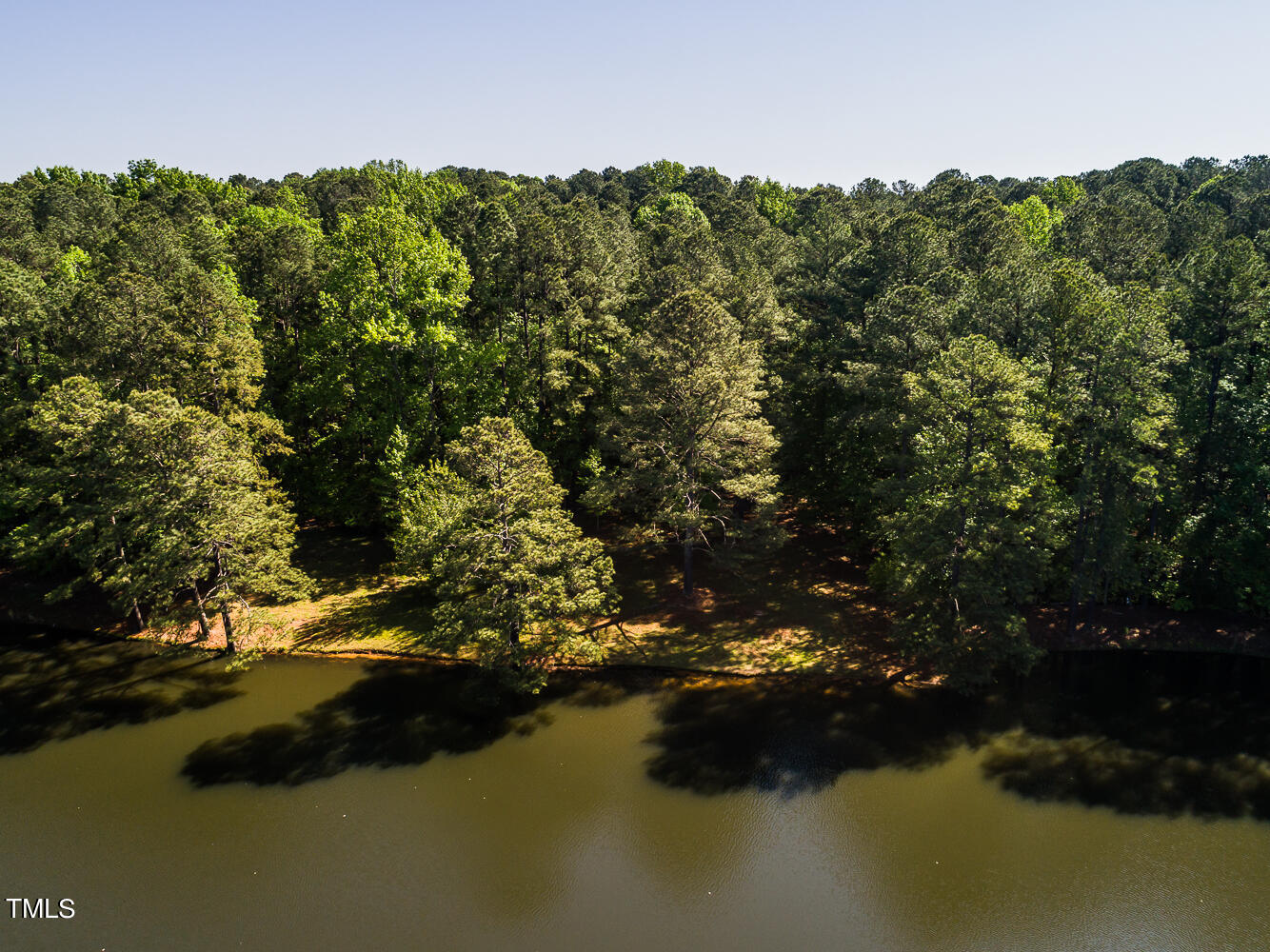 10305 Old Creedmoor Road Raleigh, NC 27613 - Photo 22 of 63 a view of lake from yard