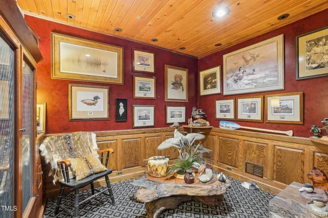 a view of a garden with plants