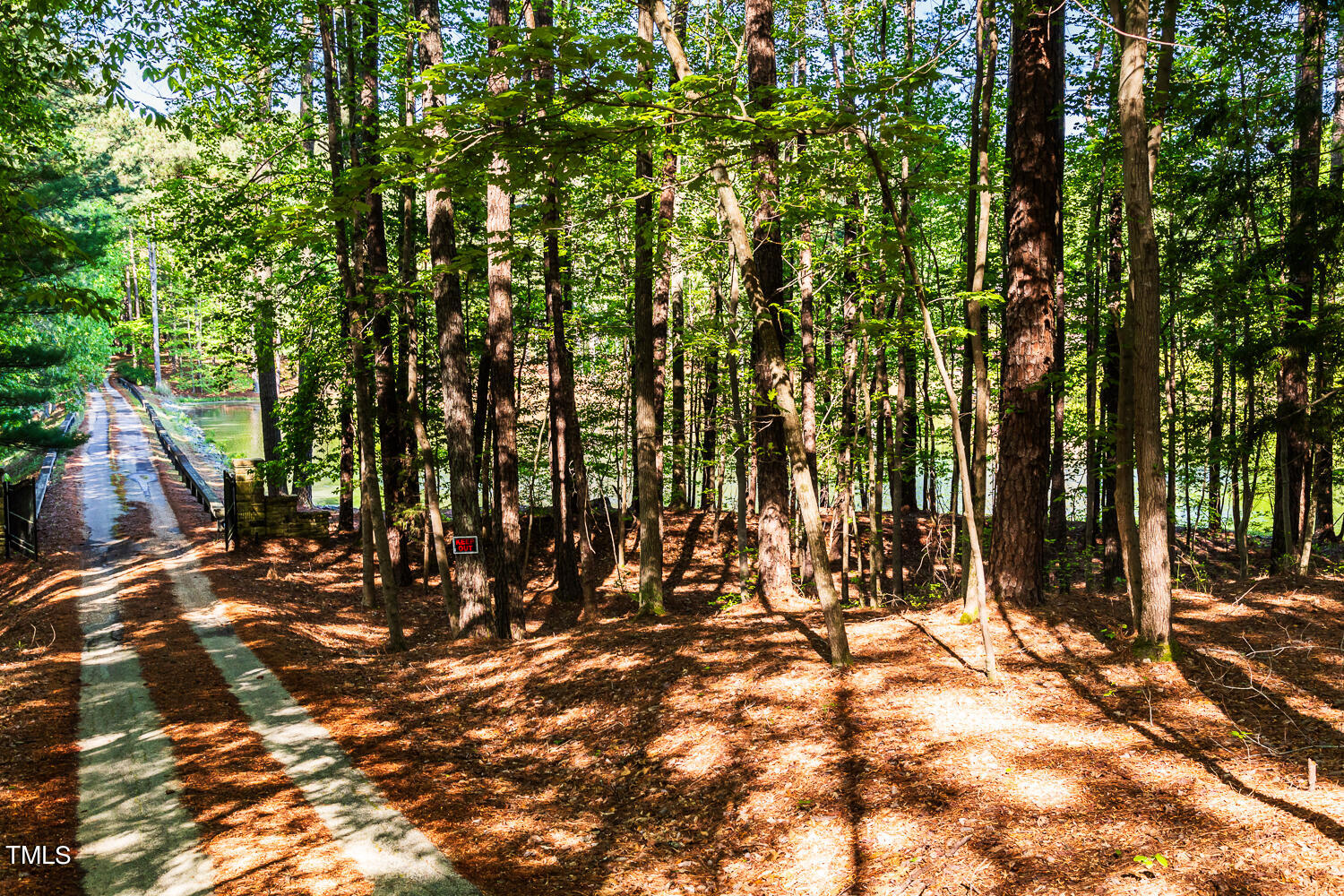 10305 Old Creedmoor Road Raleigh, NC 27613 - Photo 6 of 63 a view of outdoor space with trees