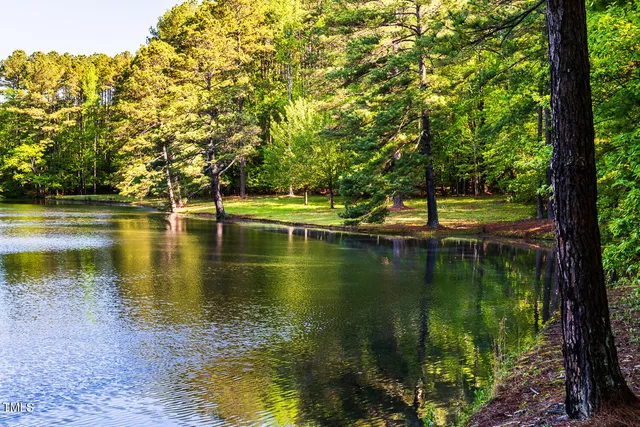 a view of a lake with trees