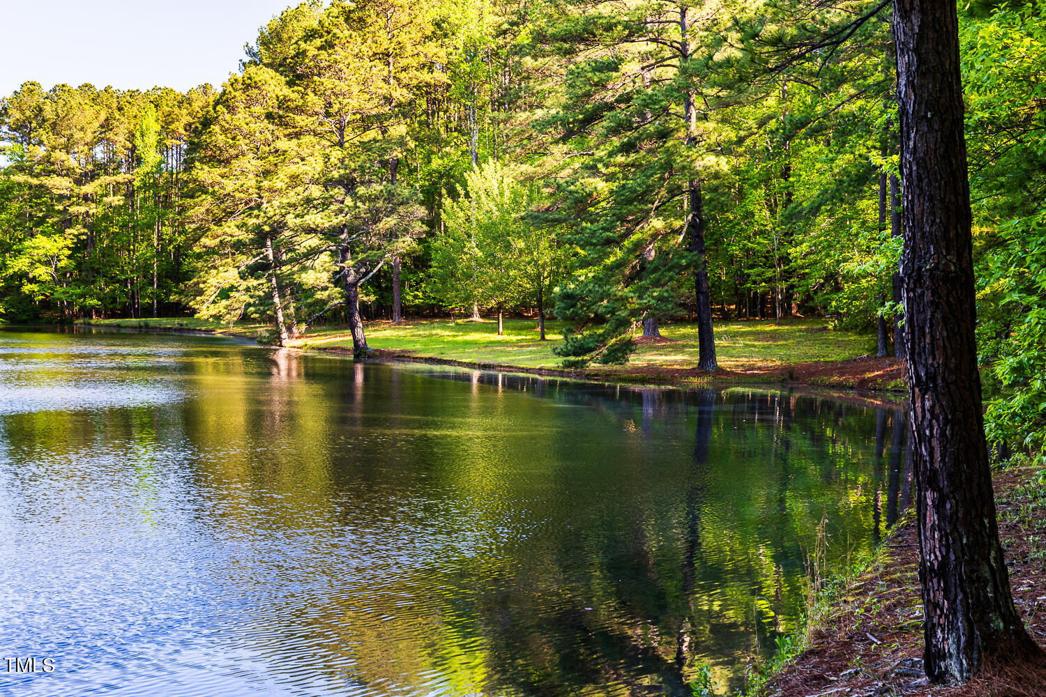 10305 Old Creedmoor Road Raleigh, NC 27613 - Photo 8 of 63 a view of lake with green space