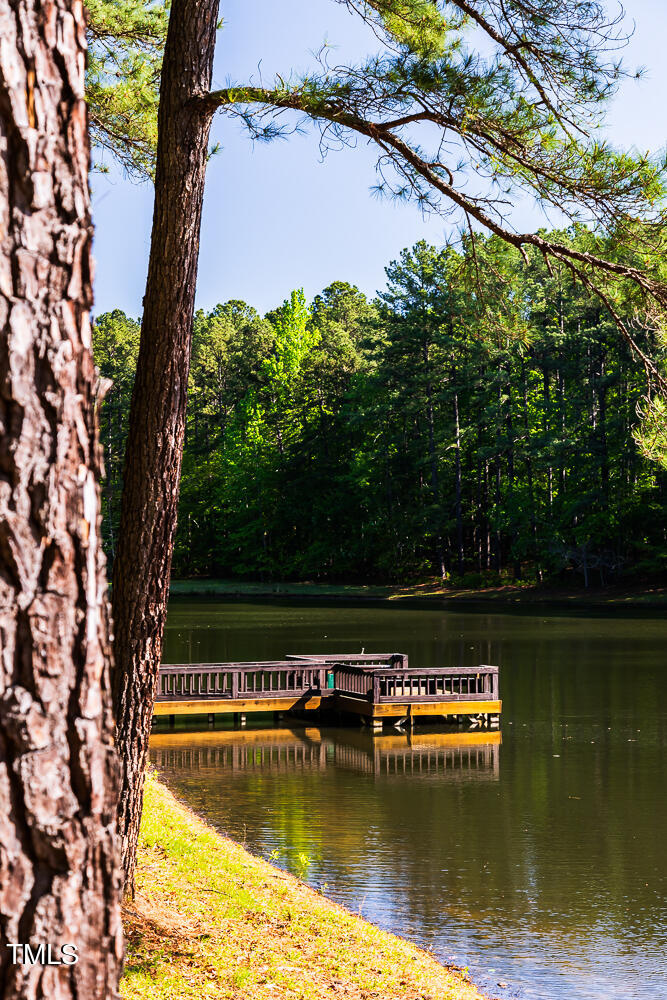 10305 Old Creedmoor Road Raleigh, NC 27613 - Photo 10 of 63 a view of a lake with trees