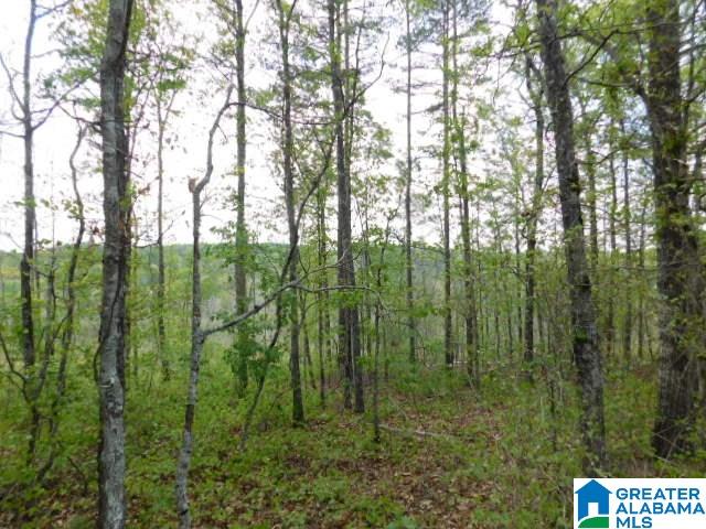 2 Pointe South Drive Wedowee, AL 36278 - Photo 5 of 6