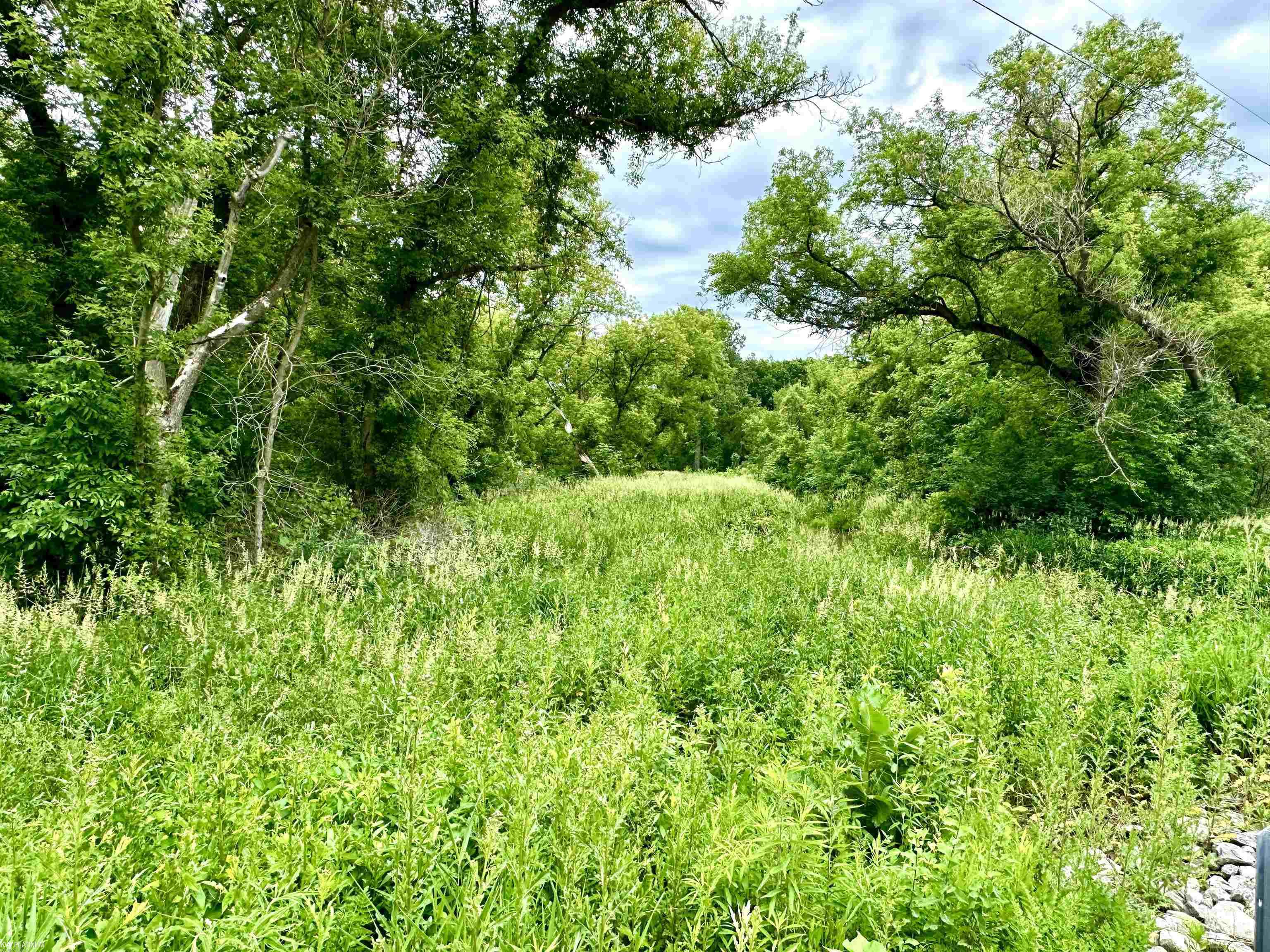 Vl Braidwood Parcel 3 Road Memphis, MI 48041 - Photo 2 of 13