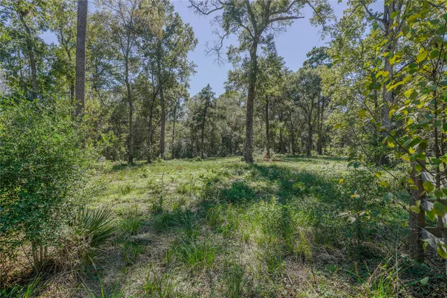 a view of outdoor space and yard