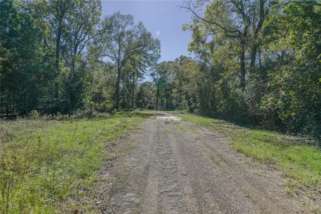 a view of outdoor space with trees all around